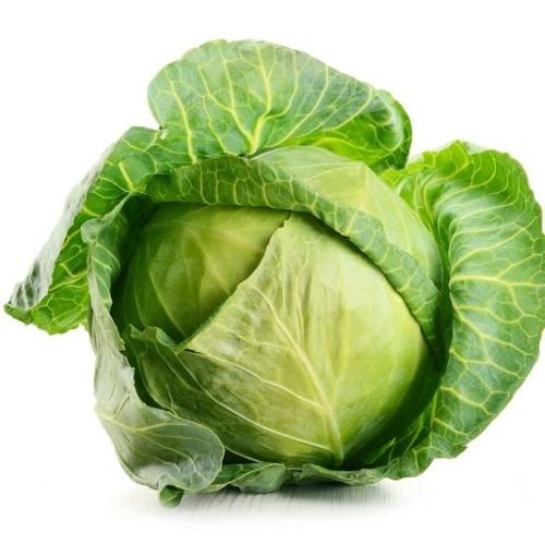 Organic Cabbage